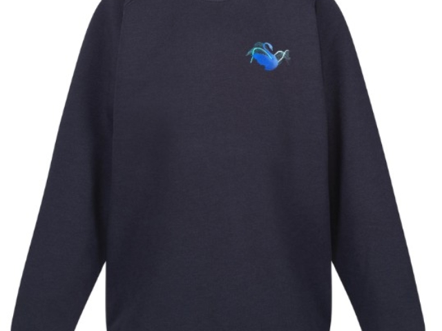 Compulsory Crew Neck Jumper