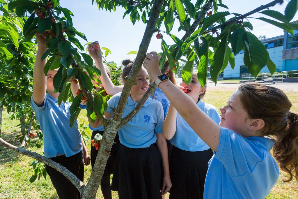 Bewdley Orchard